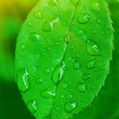 天博体育官方平台入口